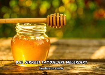 Bal Sirkesi Faydaları Nelerdir?