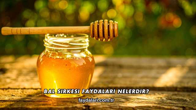Bal Sirkesi Faydaları Nelerdir?
