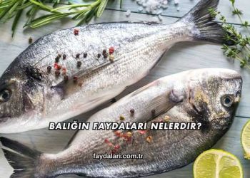 Balığın Faydaları Nelerdir?