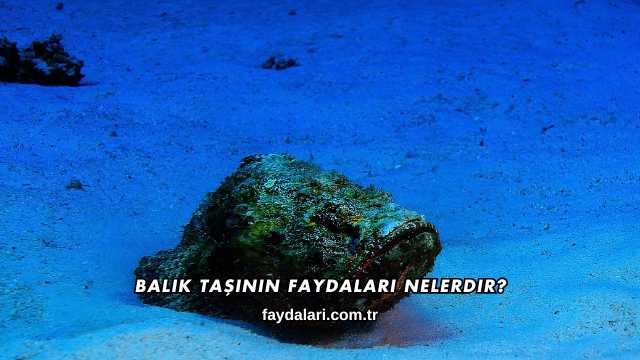 Balık Taşının Faydaları Nelerdir?