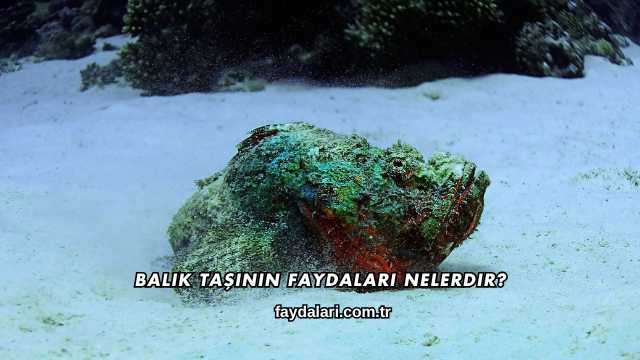 Balık Taşının Faydaları Nelerdir?