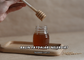 Balın Faydaları Nelerdir?