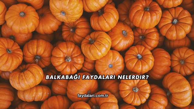 Balkabağı Faydaları Nelerdir?