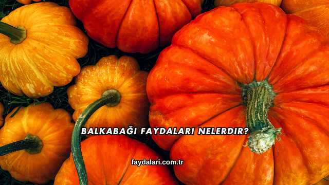 Balkabağı Faydaları Nelerdir?