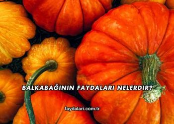 Balkabağının Faydaları Nelerdir?