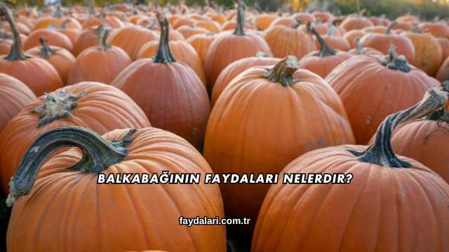 Balkabağının Faydaları Nelerdir?