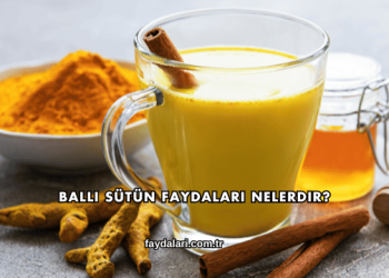 Ballı Sütün Faydaları Nelerdir?