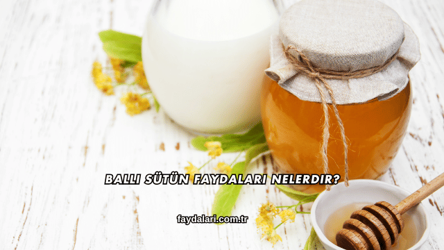 Ballı Sütün Faydaları Nelerdir?