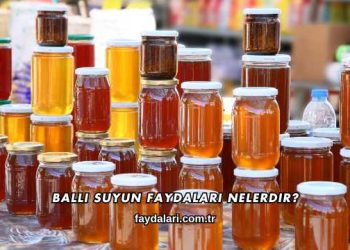 Ballı Suyun Faydaları Nelerdir?
