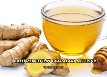Ballı Zencefilin Faydaları Nelerdir?