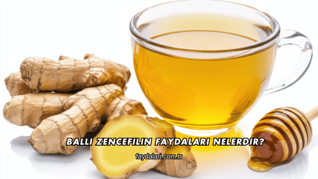 Ballı Zencefilin Faydaları Nelerdir?