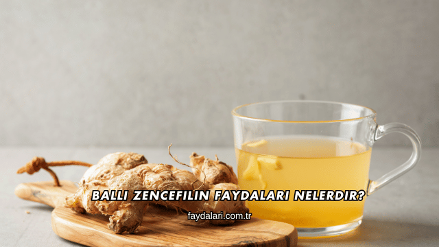Ballı Zencefilin Faydaları Nelerdir?
