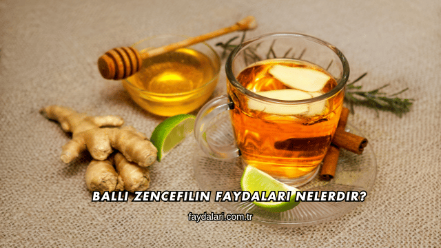 Ballı Zencefilin Faydaları Nelerdir?