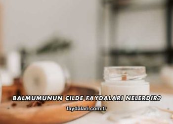 Balmumunun Cilde Faydaları Nelerdir?
