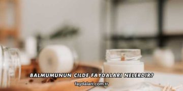 Balmumunun Cilde Faydaları Nelerdir?