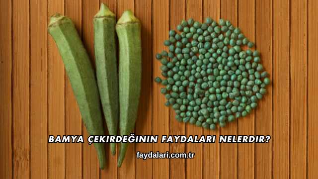Bamya Çekirdeğinin Faydaları Nelerdir?
