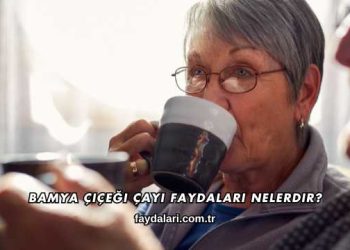 Bamya Çiçeği Çayı Faydaları Nelerdir?