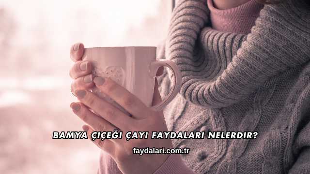 Bamya Çiçeği Çayı Faydaları Nelerdir?