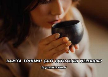 Bamya Tohumu Çayı Faydaları Nelerdir?