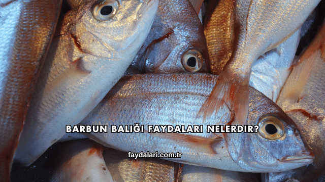 Barbun Balığı Faydaları Nelerdir?