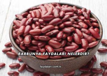 Barbunya Faydaları Nelerdir?