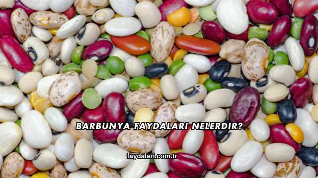 Barbunya Faydaları Nelerdir?