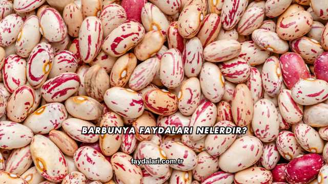 Barbunya Faydaları Nelerdir?
