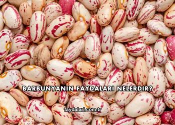 Barbunyanın Faydaları Nelerdir?