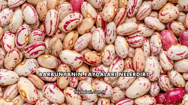 Barbunyanın Faydaları Nelerdir?