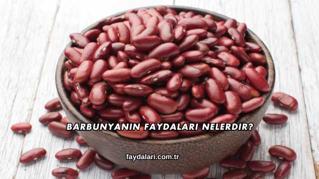 Barbunyanın Faydaları Nelerdir?