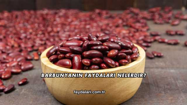 Barbunyanın Faydaları Nelerdir?