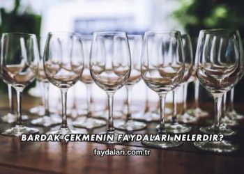 Bardak Çekmenin Faydaları Nelerdir?