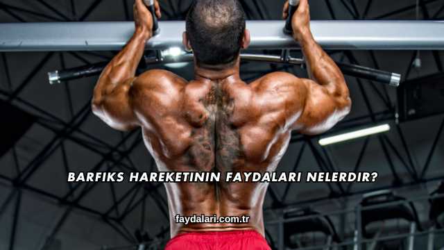 Barfiks Hareketinin Faydaları Nelerdir?