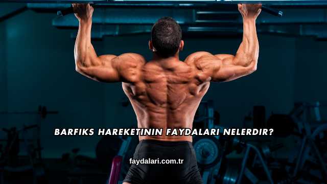 Barfiks Hareketinin Faydaları Nelerdir?