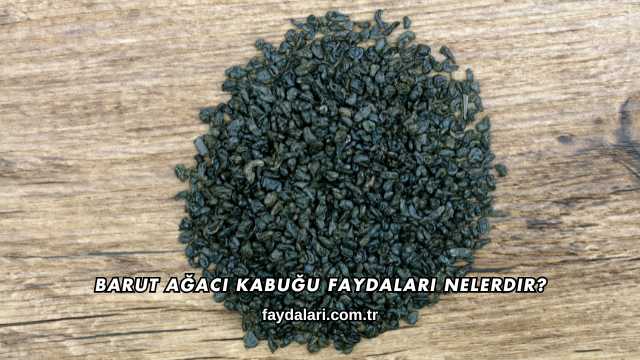 Barut Ağacı Kabuğu Faydaları Nelerdir?