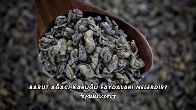 Barut Ağacı Kabuğu Faydaları Nelerdir?