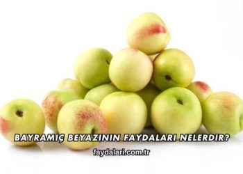 Bayramiç Beyazının Faydaları Nelerdir?