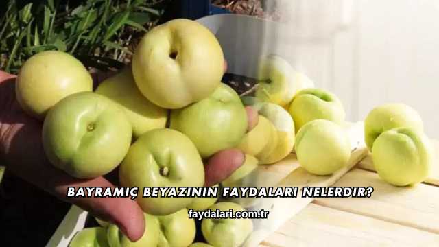 Bayramiç Beyazının Faydaları Nelerdir?