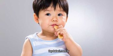 Bebe Bisküvisi Faydaları Nelerdir?