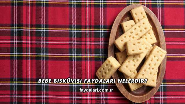 Bebe Bisküvisi Faydaları Nelerdir?
