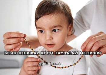 Bebek Kehribar Kolye Faydaları Nelerdir?