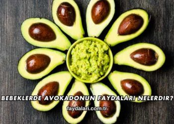 Bebeklerde Avokadonun Faydaları Nelerdir?