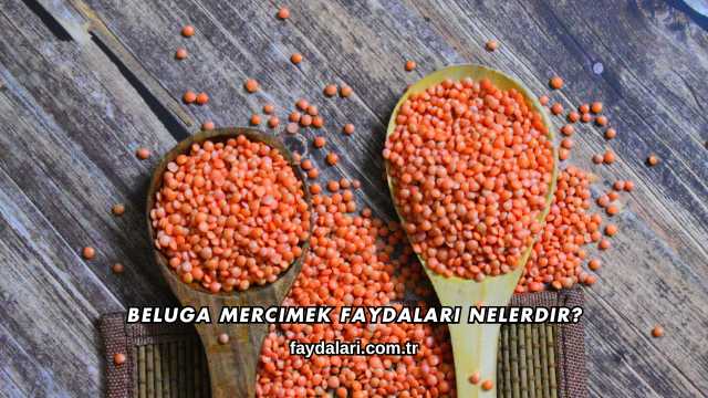 Beluga Mercimek Faydaları Nelerdir?