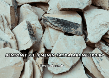 Bentonit Kil İçmenin Faydaları Nelerdir?
