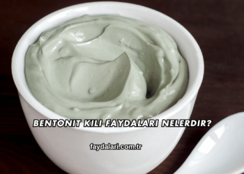 Bentonit Kili Faydaları Nelerdir?