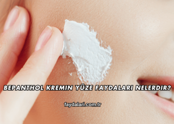 Bepanthol Kremin Yüze Faydaları Nelerdir?