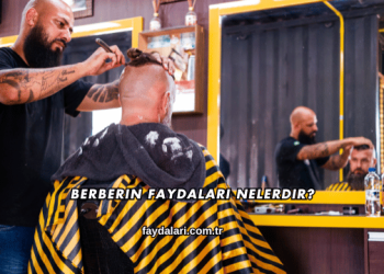 Berberin Faydaları Nelerdir?