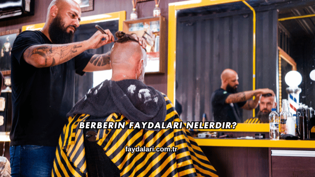 Berberin Faydaları Nelerdir?