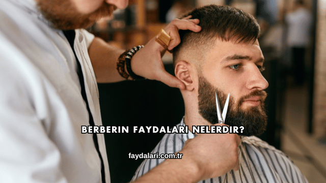 Berberin Faydaları Nelerdir?