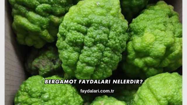 Bergamot Faydaları Nelerdir?